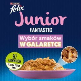 FELIX Fantastic Junior Kurczak, Łosoś - mokra karma dla kociąt - 4x85g PURINA NESTLE