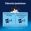 FELIX Fantastic Ryba z warzywami - mokra karma dla kota - 4x85g PURINA NESTLE