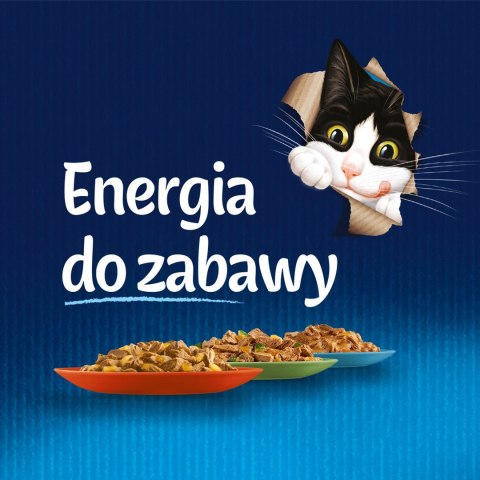 FELIX Fantastic Wołowina w galaretce - mokra karma dla kota - saszetka 100 g PURINA NESTLE