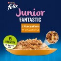 Purina Felix Fantastic Junior Kurczak - mokra karma dla kota - 85 g PURINA NESTLE