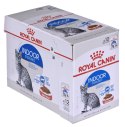 ROYAL CANIN FHN Indoor w galaretce - mokra karma dla kota dorosłego - 12x85 g Royal Canin