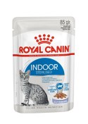 ROYAL CANIN FHN Indoor w galaretce - mokra karma dla kota dorosłego - 12x85 g Royal Canin