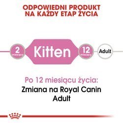 ROYAL CANIN FHN Kitten Instinctive in Jelly - mokra karma dla kociąt - 12x85g Royal Canin