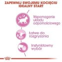 ROYAL CANIN FHN Kitten Instinctive in Jelly - mokra karma dla kociąt - 12x85g Royal Canin