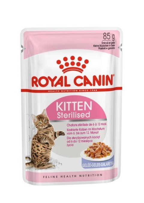 ROYAL CANIN FHN Kitten Sterilised w galaretce - mokra karma dla kociąt - 12x85g Royal Canin