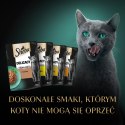 SHEBA Delicacy drobiowe smaki w galarecie- Drób - Mokra karma dla kota - 40x85g Sheba