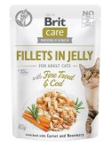 BRIT Care Fillets in Jelly Flavour Box - mokra karma dla kota - 12 x 85 g Brit