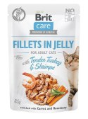 BRIT Care Fillets in Jelly Flavour Box - mokra karma dla kota - 12 x 85 g Brit