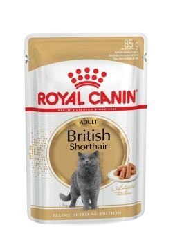 ROYAL CANIN FBN British Shorthair Adult - mokra karma dla dorosłego kota - 12x85g Royal Canin