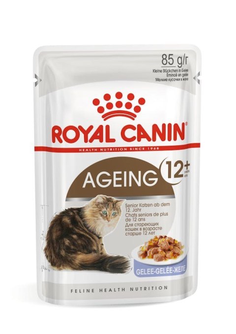 ROYAL CANIN FHN Ageing 12+ w galaretce - mokra karma dla kota starszego - 12x85g Royal Canin