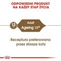 ROYAL CANIN FHN Ageing 12+ w galaretce - mokra karma dla kota starszego - 12x85g Royal Canin