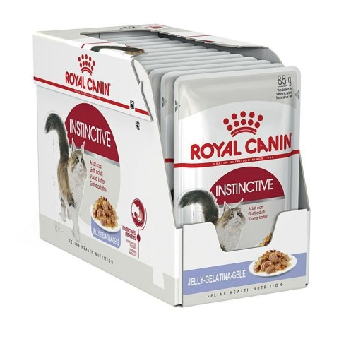 ROYAL CANIN FHN Instinctive w galaretce - mokra karma dla kota dorosłego - 12x85g Royal Canin