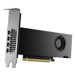 PNY NVIDIA 2000 Ada 16GB LowProfile, PCIe 4.0 x16, Dual Slot, 4x Mini DP 1.4a, 16 GB GDDR6 ECC 128-bit, HDCP 2.2, HDMI 2.0, LP - PNY Technologies