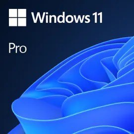 Windows Professional 11 64-bit All Lang Product Key Microsoft (OEM)