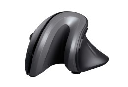 Mysz TRUST Verro Ergonomic Wireless Mouse Trust