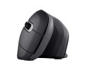 Mysz TRUST Verro Ergonomic Wireless Mouse Trust