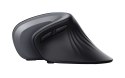 Mysz TRUST Verro Ergonomic Wireless Mouse Trust