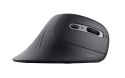 Mysz TRUST Verro Ergonomic Wireless Mouse Trust