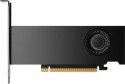 PNY NVIDIA 2000 Ada 16GB LowProfile, PCIe 4.0 x16, Dual Slot, 4x Mini DP 1.4a, 16 GB GDDR6 ECC 128-bit, HDCP 2.2, HDMI 2.0, smal PNY Technologies