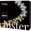 Inteligentne lampki Twinkly Cluster- 400 Led 5x07m Twinkly