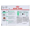 ROYAL CANIN FHN Digest Sensitive w sosie - mokra karma dla kota dorosłego - 12x85g Royal Canin