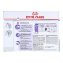 ROYAL CANIN FHN Sterilised w galaretce - mokra karma dla kota dorosłego - 12x85g Royal Canin