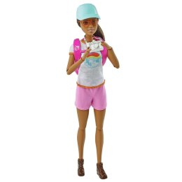 Barbie Fashionistas HNC39 lalka No name