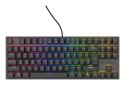 GENESIS Thor 303 TKL klawiatura Gaming USB QWERTY US English Czarny GENESIS