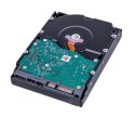 Dysk twardy HDD WD Gold 8TB 3,5" SATA WD8005FRYZ WD