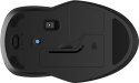 Mysz HP 250 Dual Mouse bezprzewodowa czarna 6V2J7AA Hewlett-Packard