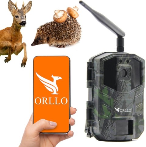 Fotopułapka GSM ORLLO Huntercam 3 ORLLO